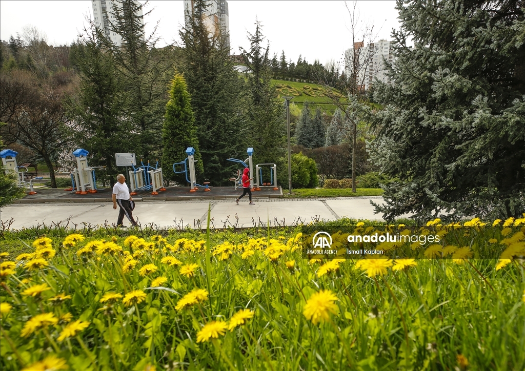 گل‌های بهاری در پارک دیکمن وادیسی آنکارا