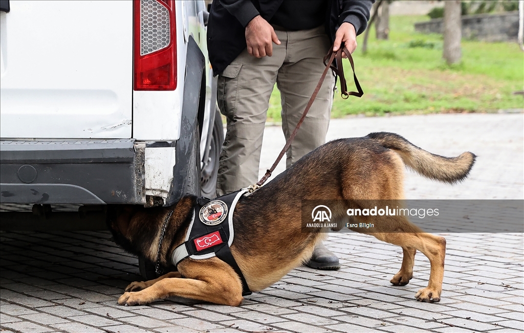 Emniyetin kadrolu "hassas burunları" polisin en büyük yardımcısı