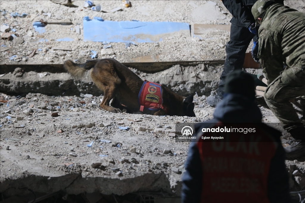 Şanlıurfa'da arama-kurtarma çalışmaları sürüyor