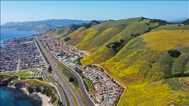 Kaliforniya'daki Pismo Preserve'de baharın renkleri