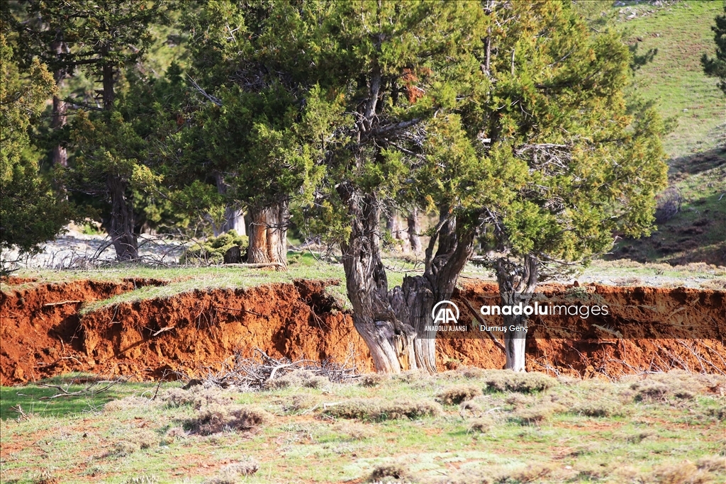 Kahramanmaraş'taki depremler Göksun'da yüzey kırıkları ve çökmelere neden oldu