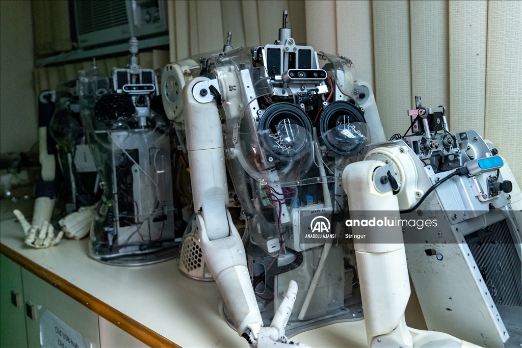 Hong Kong'daki Hanson Robotics'de insansı robotlar görüntülendi