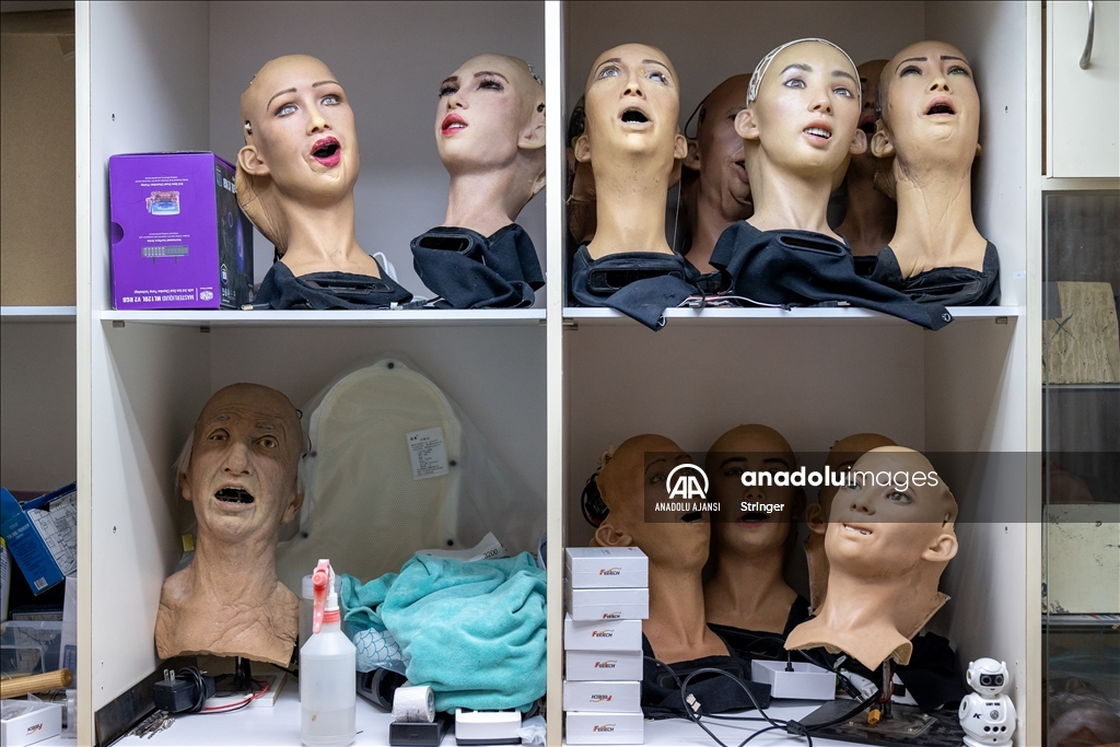 Hong Kong'daki Hanson Robotics'de insansı robotlar görüntülendi