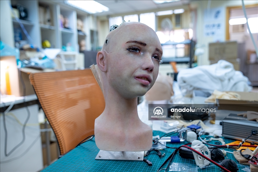 Hong Kong'daki Hanson Robotics'de insansı robotlar görüntülendi