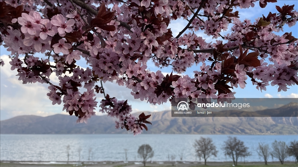 Doğuda tatilcilerin gözdesi Hazar Gölü doğal güzelliğiyle bayrama hazır