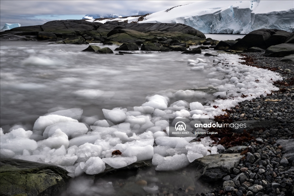 ادامه مطالعات علمی دانشمندان ترکیه در جنوبگان