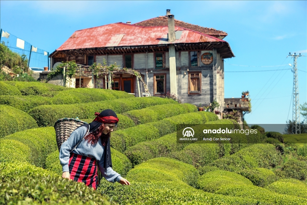 Rize doğal güzelliğiyle ziyaretçilerine görsel şölen sunuyor