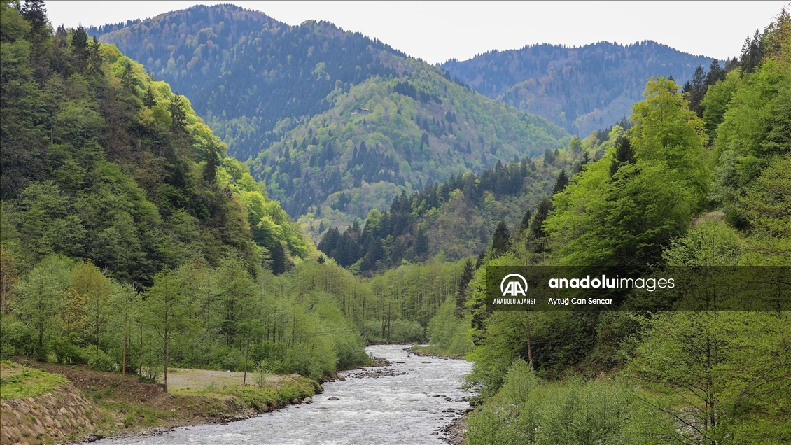 Rize doğal güzelliğiyle ziyaretçilerine görsel şölen sunuyor