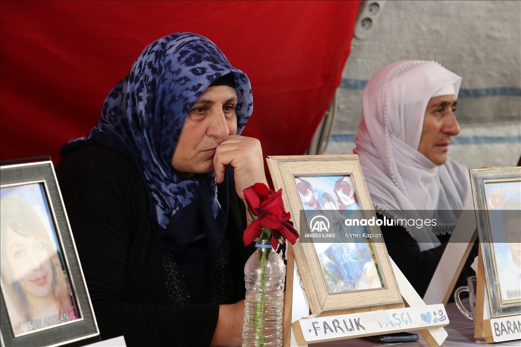 Diyarbakır annelerinden Hatice anne oğluna kavuştu! - Internet Haber