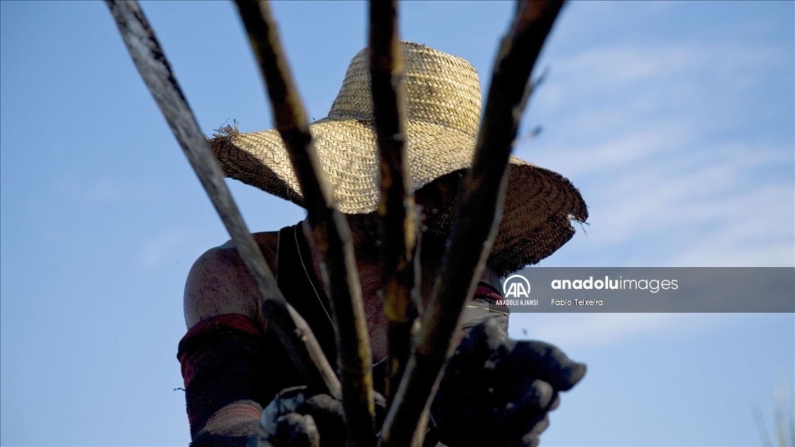 14 Mayıs Dünya Çiftçiler Günü