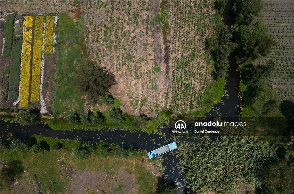 Meksika'da 14 Mayıs Dünya Çiftçiler Günü