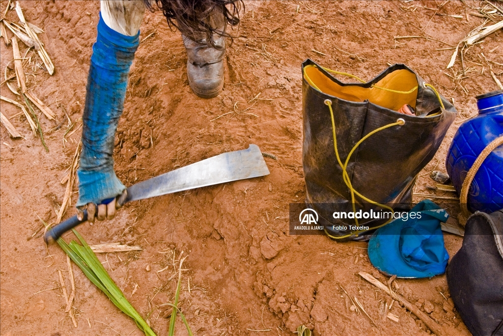 14 Mayıs Dünya Çiftçiler Günü