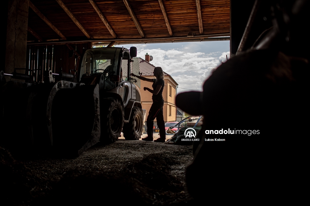 Çek Cumhuriyeti'nde, 14 Mayıs Dünya Çiftçiler Günü