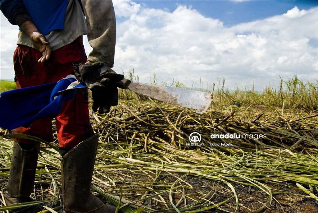 14 Mayıs Dünya Çiftçiler Günü