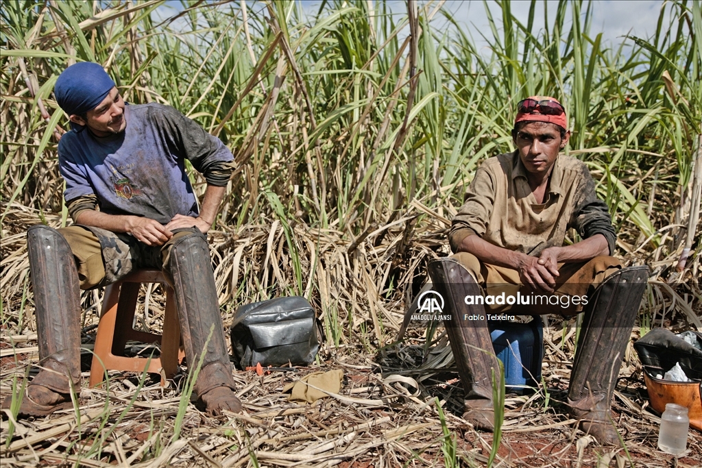 14 Mayıs Dünya Çiftçiler Günü