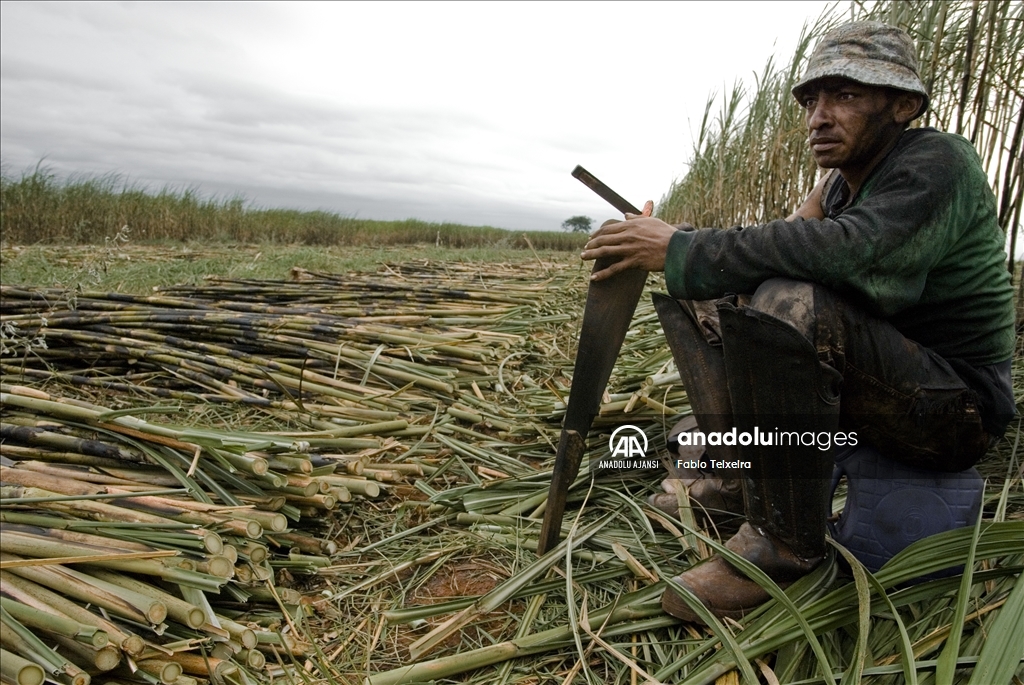 14 Mayıs Dünya Çiftçiler Günü
