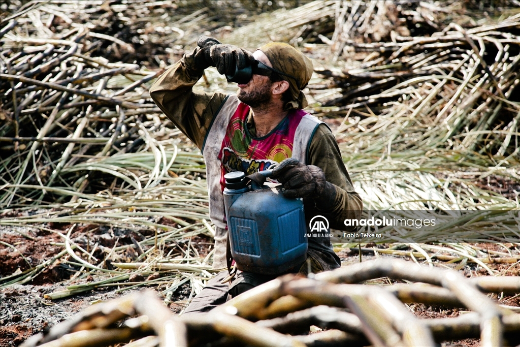 14 Mayıs Dünya Çiftçiler Günü