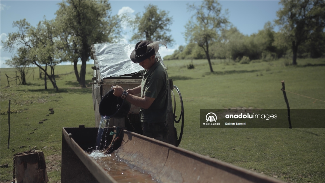 14 Mayıs Dünya Çiftçiler Günü