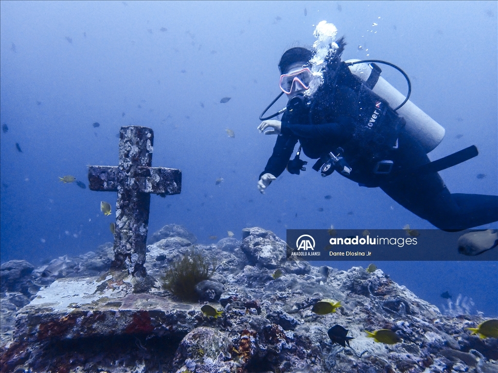 Filipinler'de ender bulunan deniz canlısı türü olan Dev İstiridye Batangas'ta görüntülendi