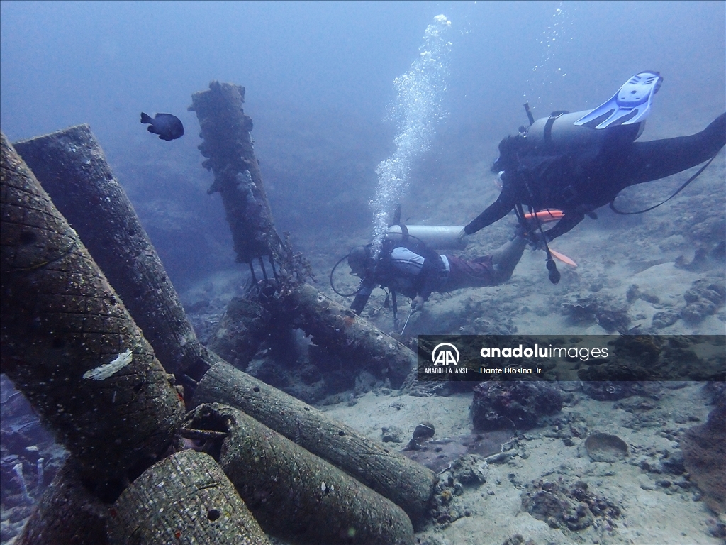 Filipinler'de ender bulunan deniz canlısı türü olan Dev İstiridye Batangas'ta görüntülendi