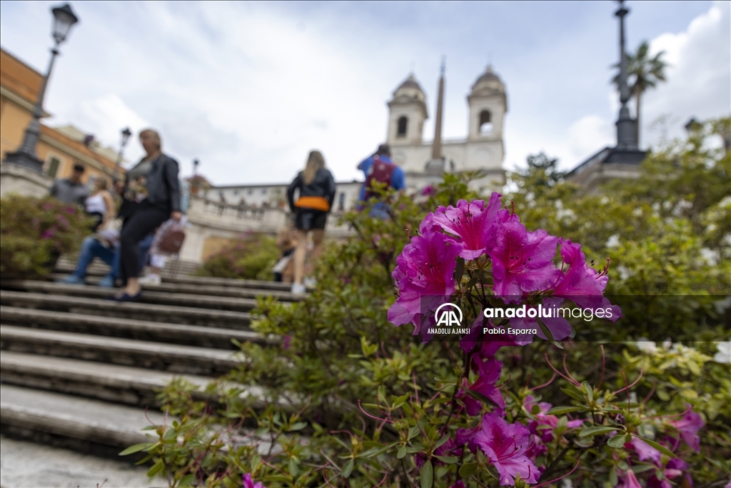 Roma'da İspanyol merdivenleri çiçeklerle süslendi