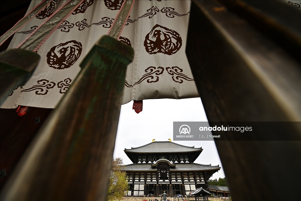 Nara, cradle of Japanese culture