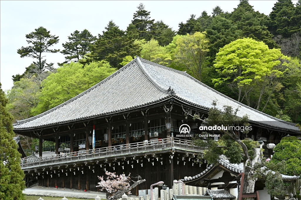 Nara, cradle of Japanese culture