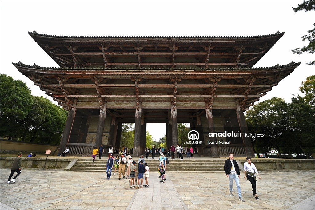 Nara, cradle of Japanese culture