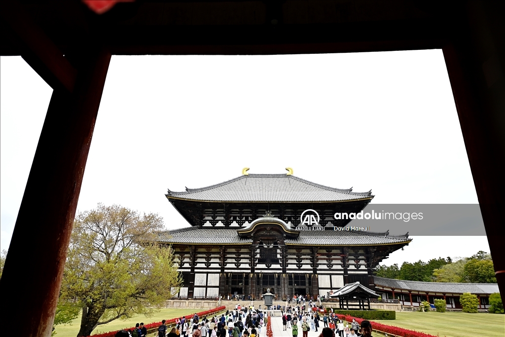 Japon kültürünün beşiği: Nara