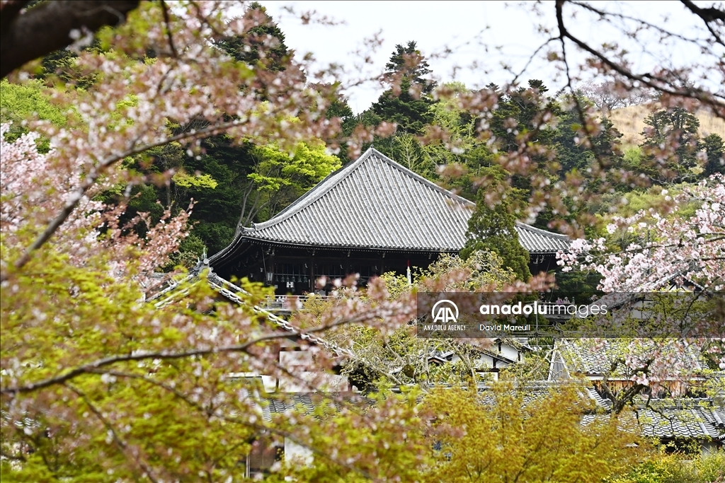 Nara, cradle of Japanese culture