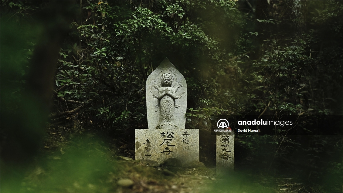 Japon kültürünün beşiği: Nara