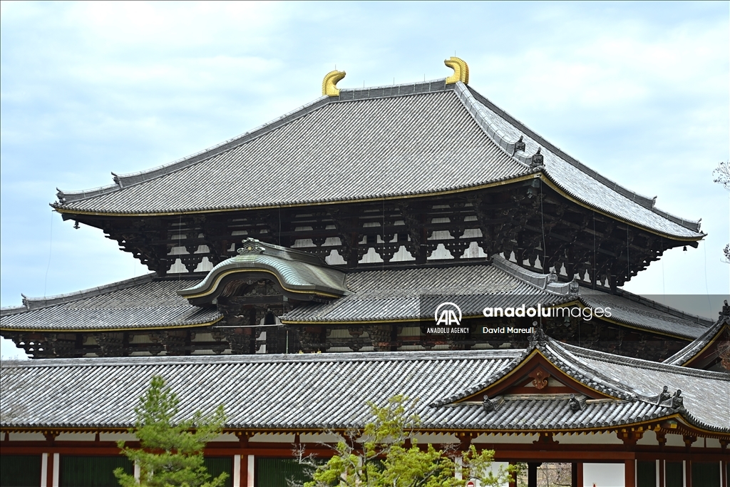 Nara, cradle of Japanese culture