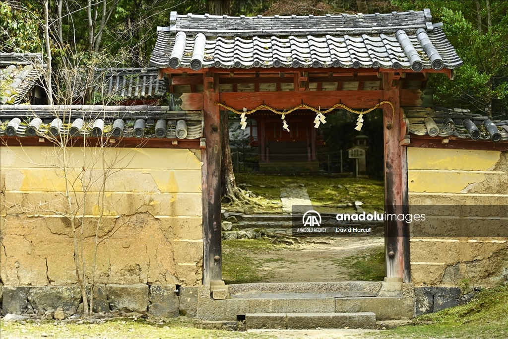 Nara, cradle of Japanese culture