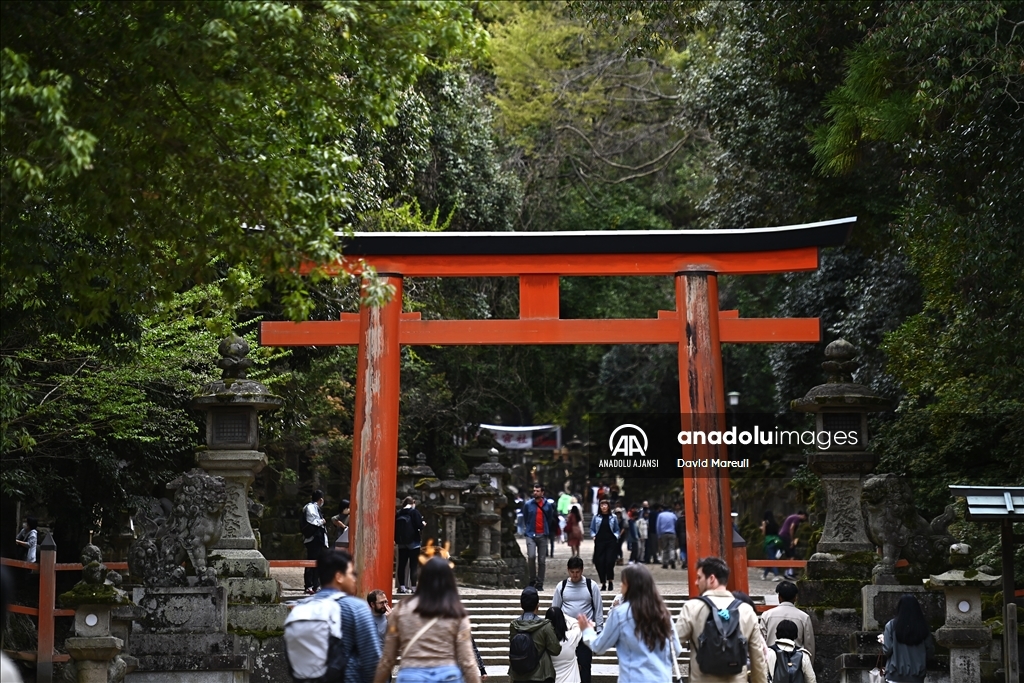 Japon kültürünün beşiği: Nara
