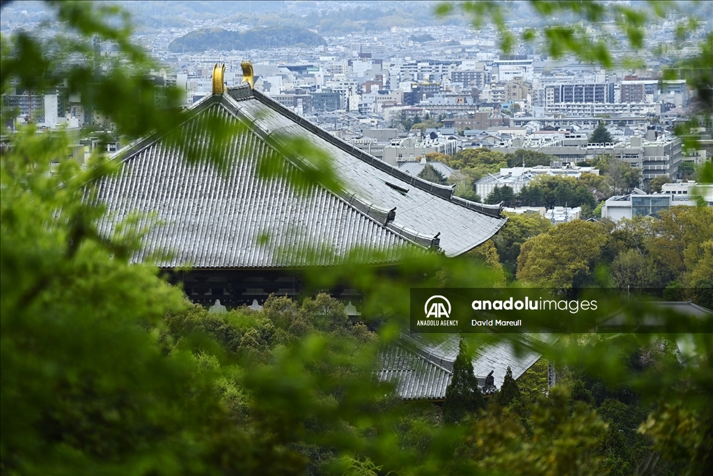 Nara, cradle of Japanese culture