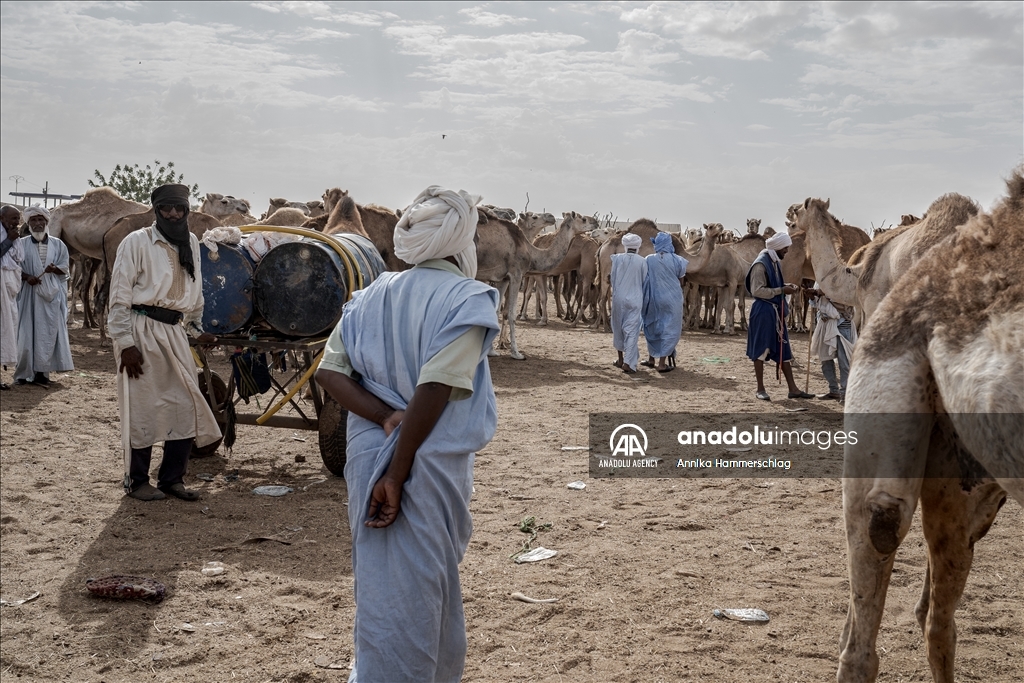 "Huge camel market" in Mauritania's Nauakchott
