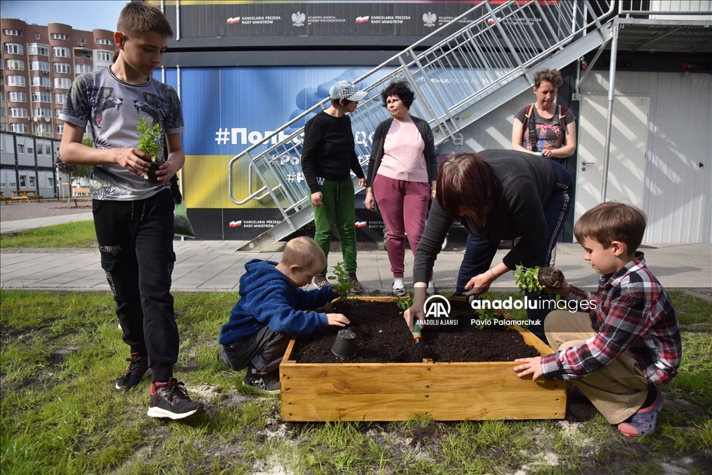 Cephe hattından kaçan siviller için Lviv'de kurulan modüler kasabada sebze yetiştiriciliği