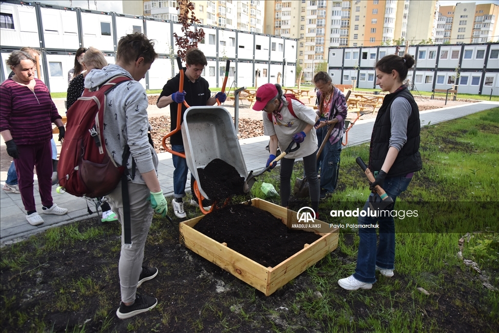 Cephe hattından kaçan siviller için Lviv'de kurulan modüler kasabada sebze yetiştiriciliği