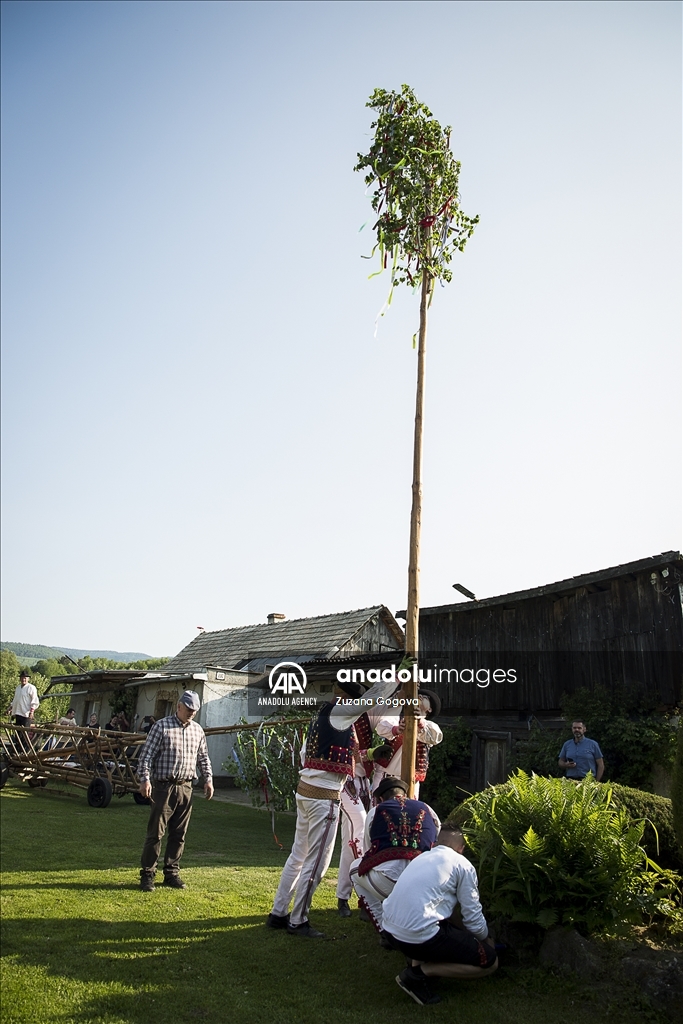 A tradition of Maypoles in Slovakia