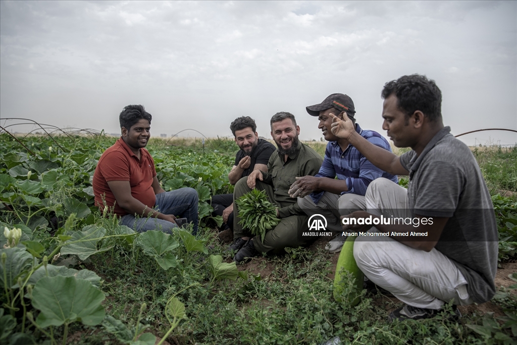 بەنگلادیشییەکان بەروبوومی وڵاتەکەیان لە هەولێر بەرهەم دەهێنن