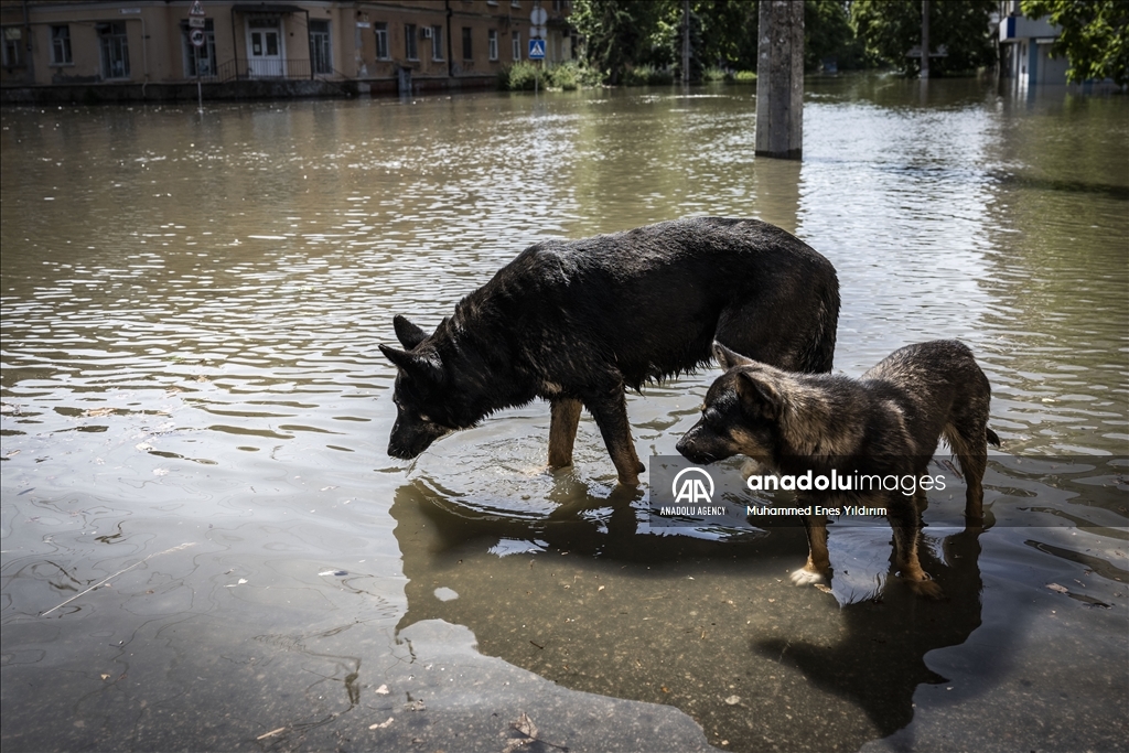 Evacuations continue from Kherson’s flooded areas after explosion at dam