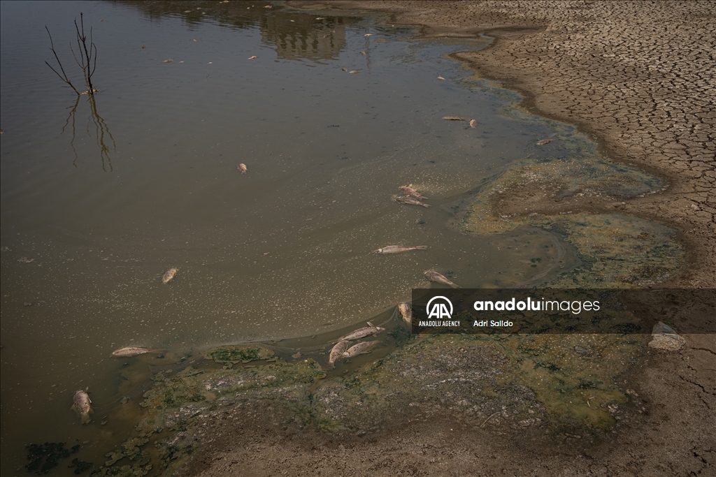 Water drought dried up reservoirs in Spain's Cordoba region Anadolu