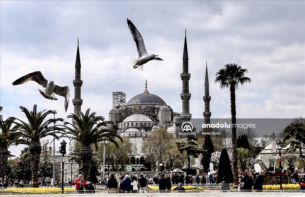 Sultanahmet Meydanı’nda uçan martılar, Sultanahmet Camisi ile birlikte güzel görüntü oluşturdu