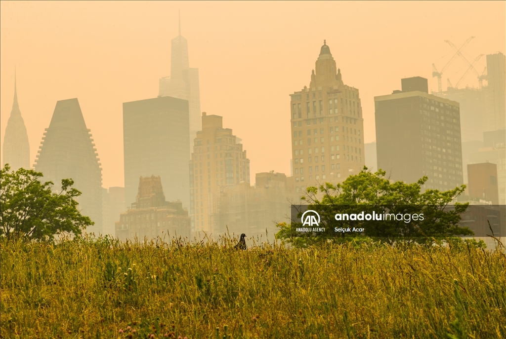 New York experiences worst air quality because of Canadian wildfires