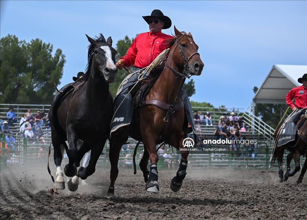 Kaliforniya'da Livermore Rodeo etkinliği 