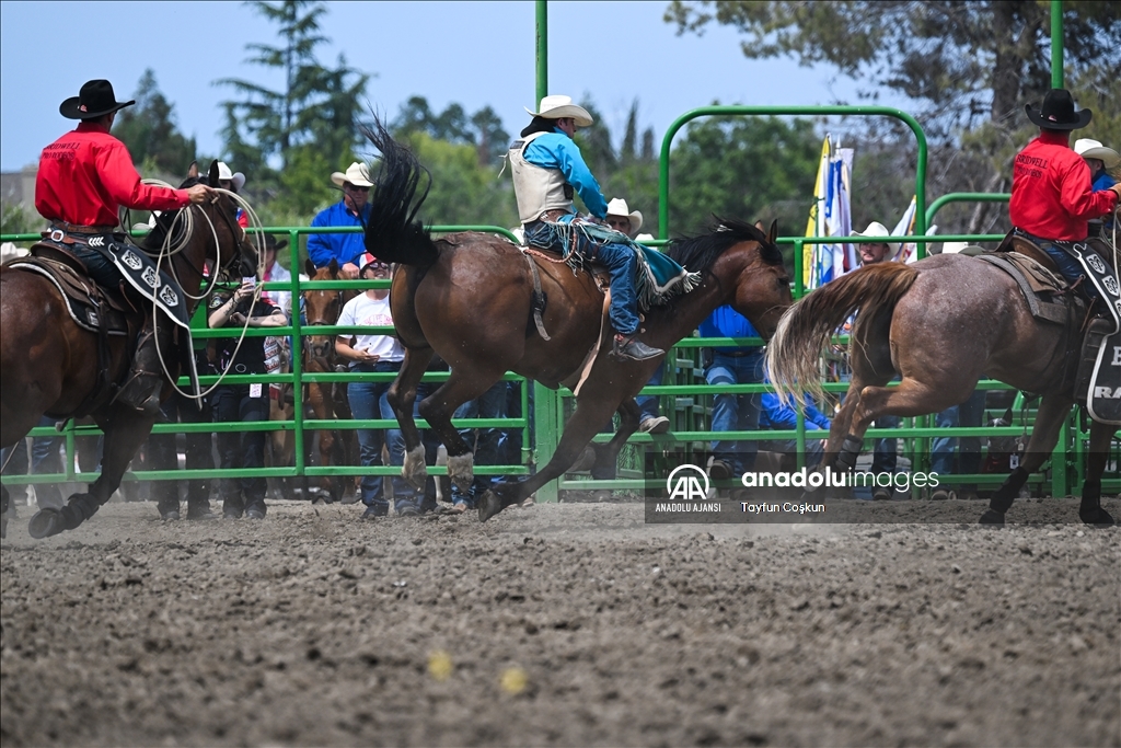 Kaliforniya'da Livermore Rodeo etkinliği 