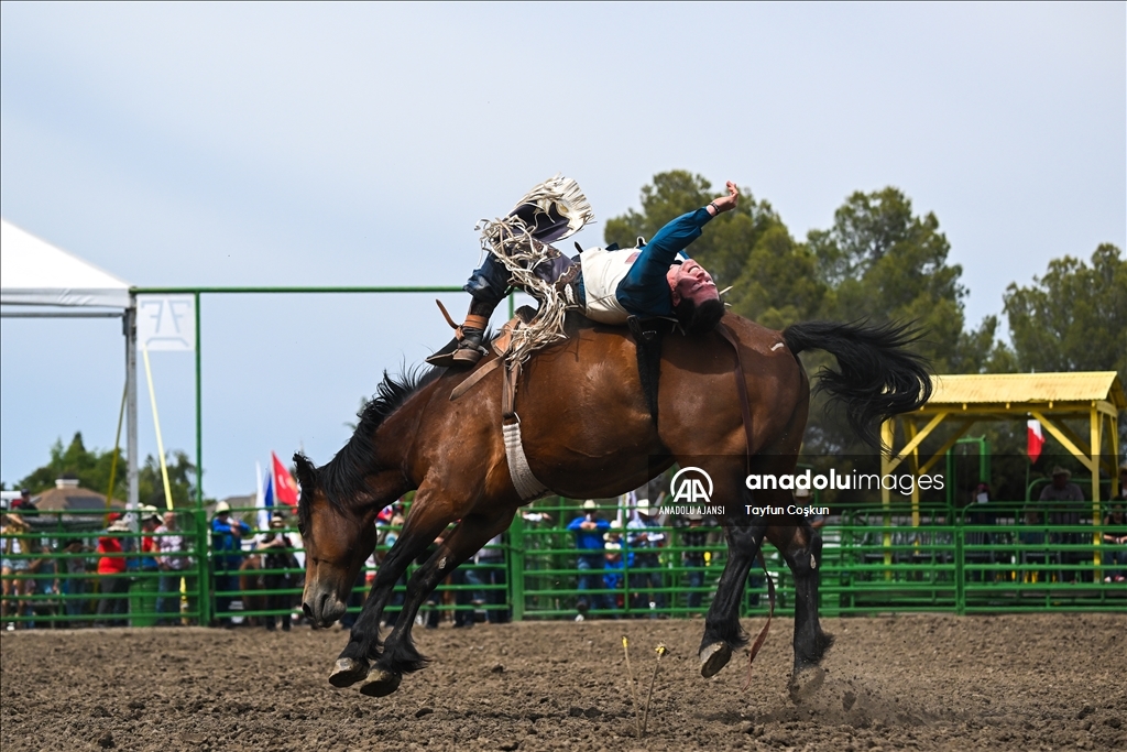 Kaliforniya'da Livermore Rodeo etkinliği 