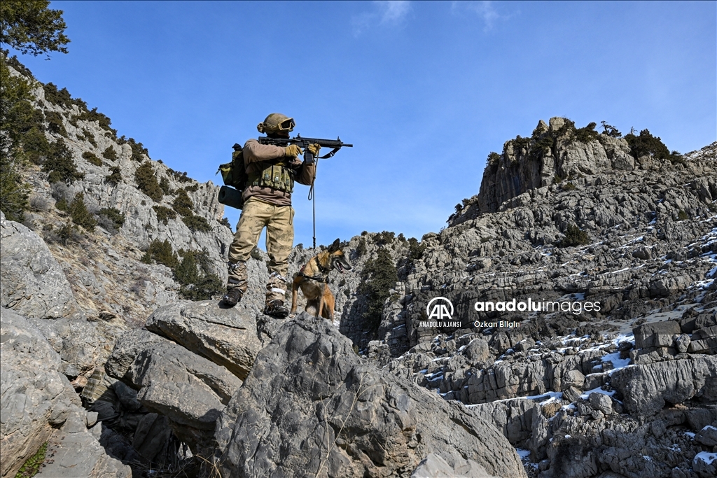Jandarma timleri karış karış dolaştıkları dağları teröristlere dar ediyor