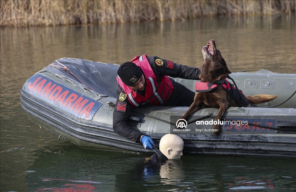 Jandarmanın su altı arama köpekleri, derindeki kayıp cesetlerin yerini tespit ediyor