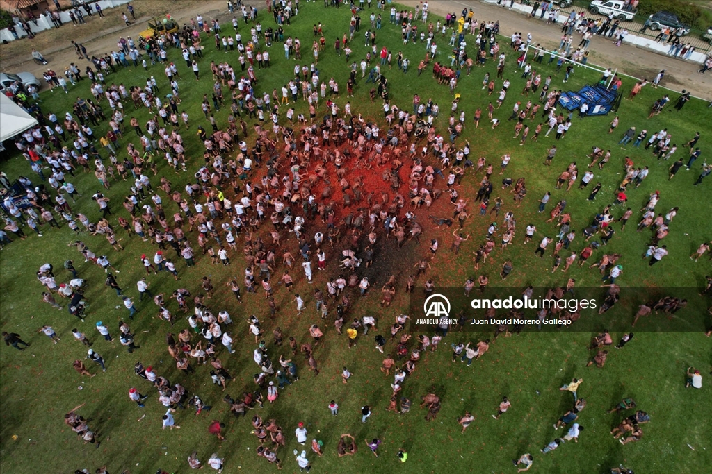 The Great Tomato Fight in Colombia